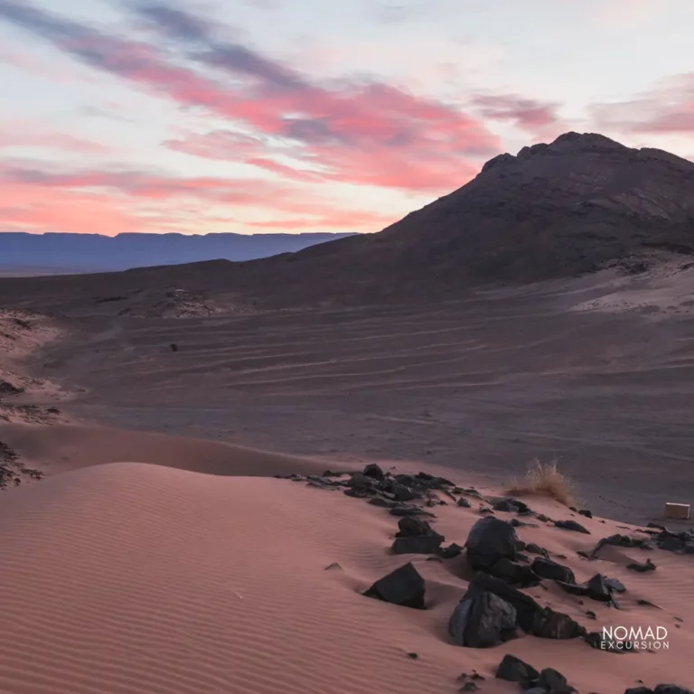 Desert Tour in Zagora